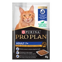 Senior Cat Food Support for Your Ageing Cat Purina